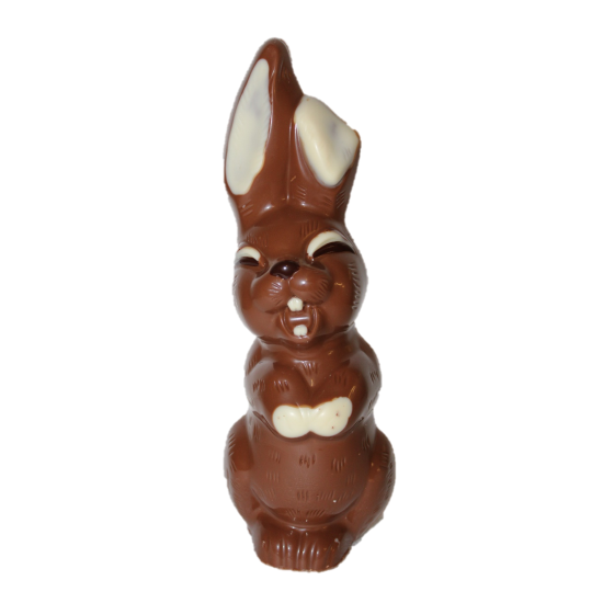 Lapin en chocolat